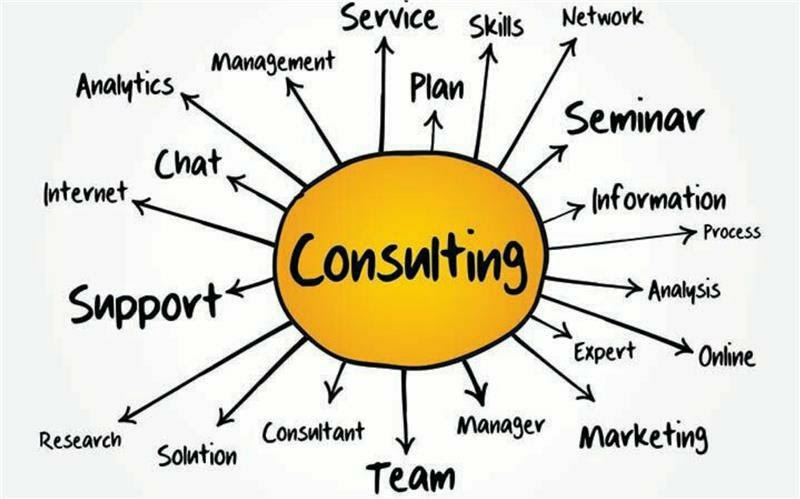 Consultancy Skills Development (CSD)