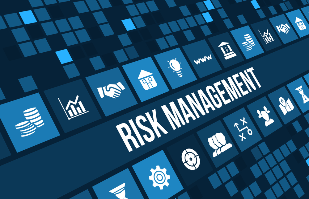 Business Risk Management (BRM)
