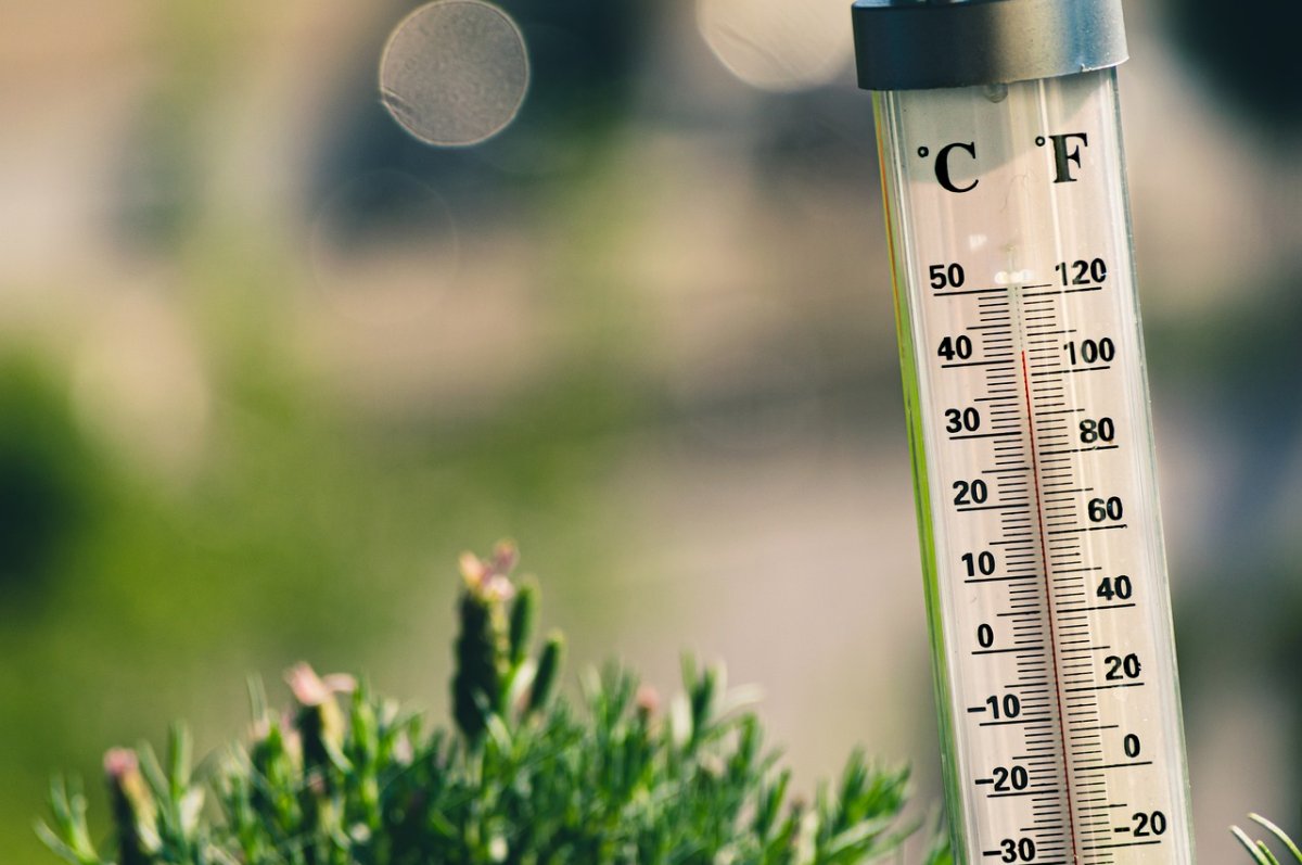 National Climate Change Act: Compliance and Legal Frameworks (Module I)